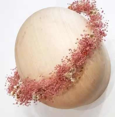 Rose de Corona