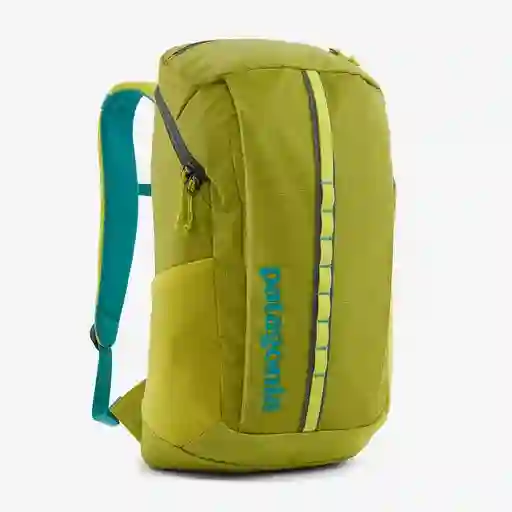 Mochila Patagonia Black Hole Pack 25L