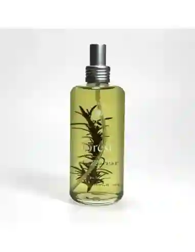 Fragancia Forest de Jimmy Boyd 200ml