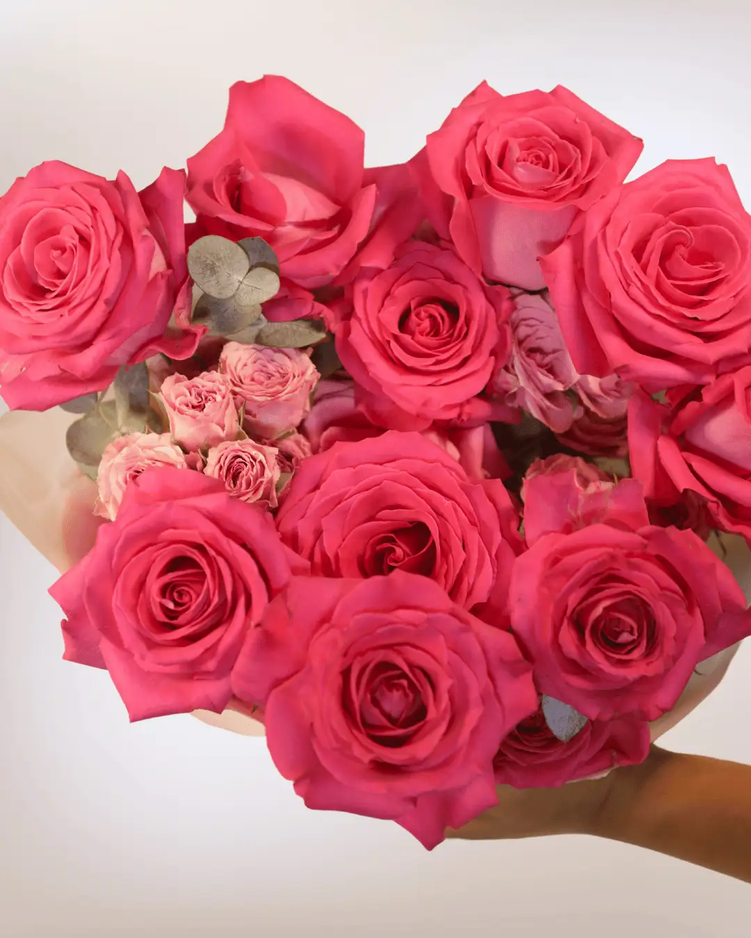 Fusión Fucsia