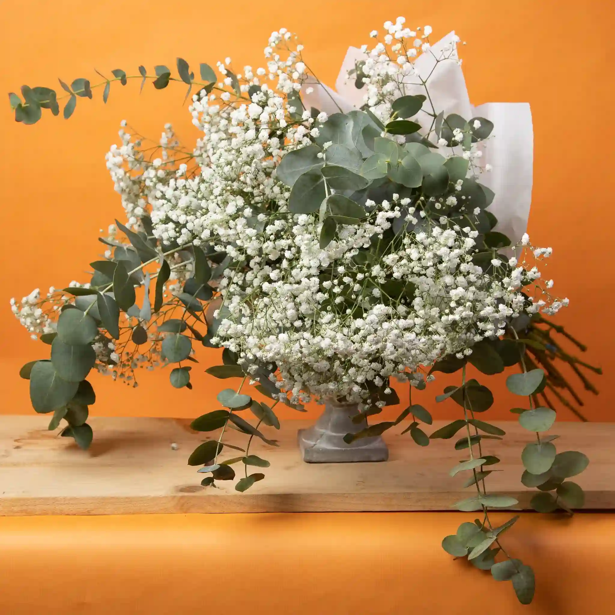 Ramo paniculata y eucalipto