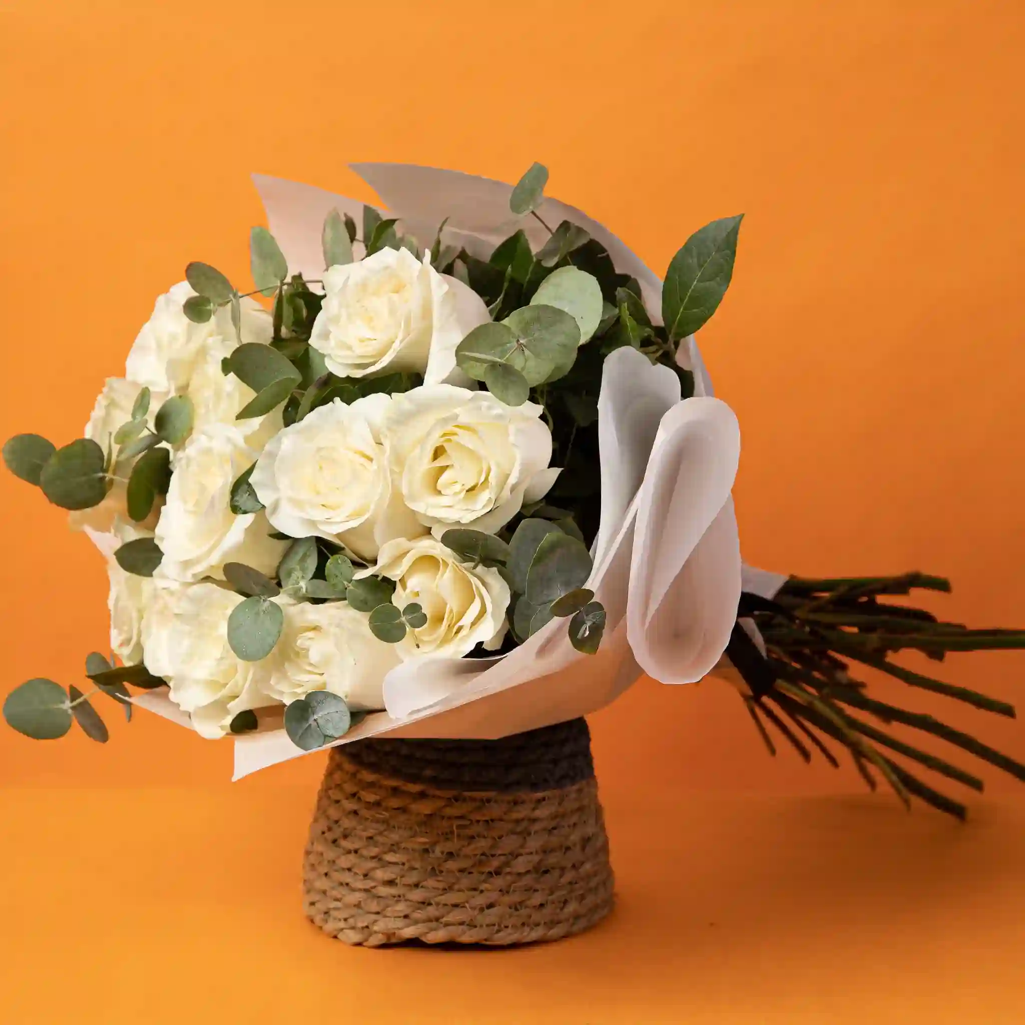Rosas Blancas (12 Rosas Blancas)