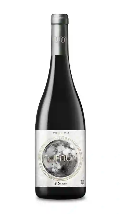 Numun Selección 2020 Vino tinto - Botella de vidrio 750 ml.