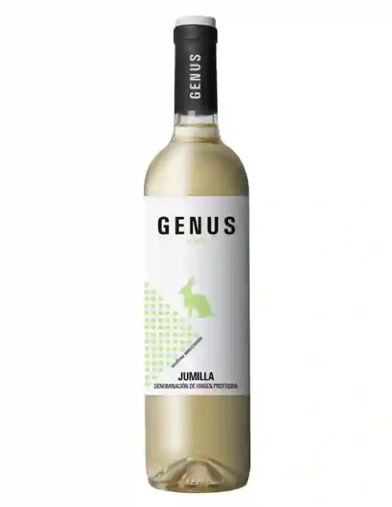 6x Género 2022 Englino - Botella de Vidrio 750 ml.