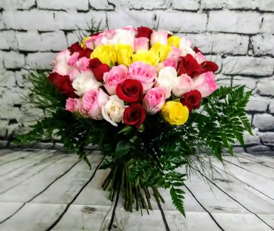 Rosas multicolor
