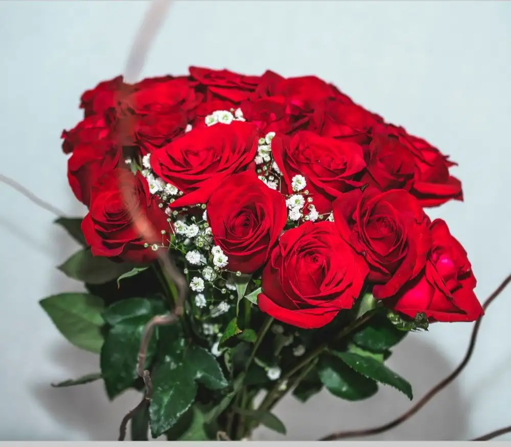 Bouquet de 12 Rosas Rojas.