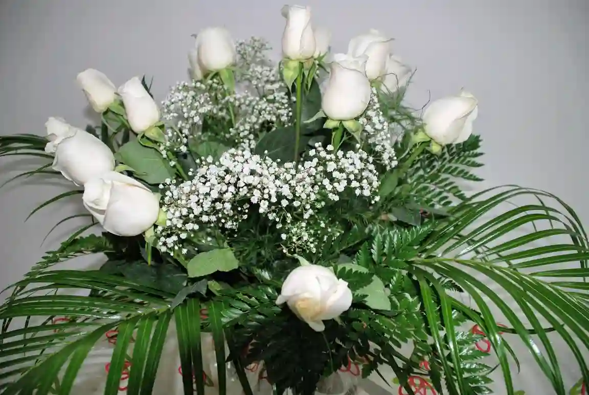 Docena Rosas Blancas 2