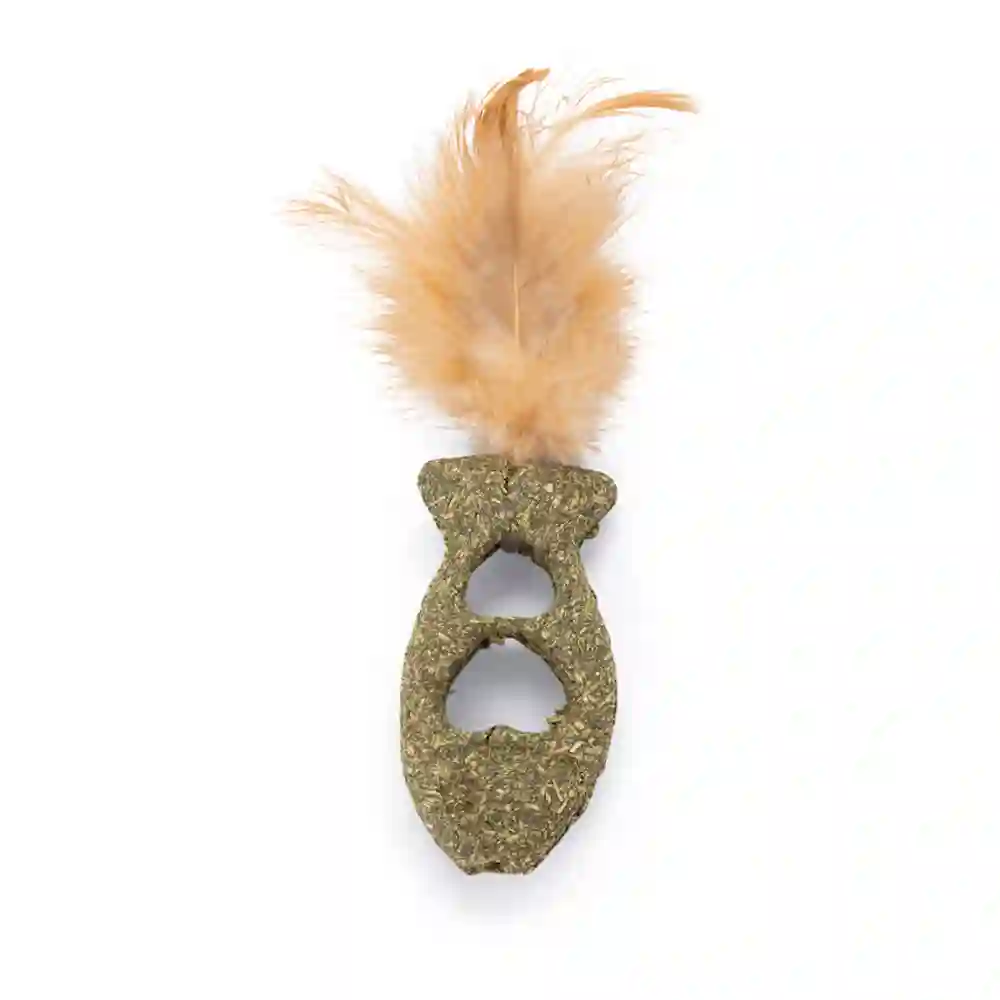 Pez Con Hierba Gatera y Plumas