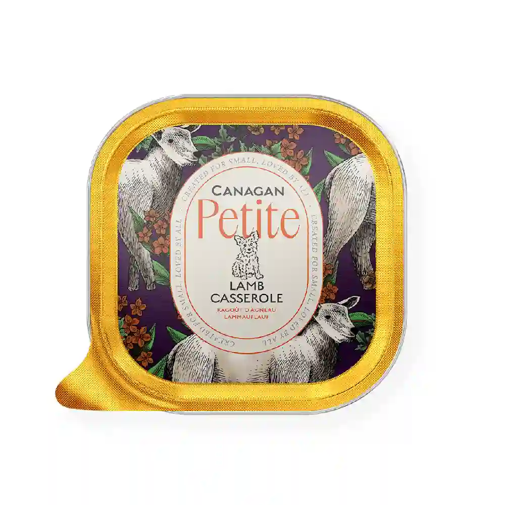 Canagan Petite Cazuela de Cordero Paté para Perros 100g