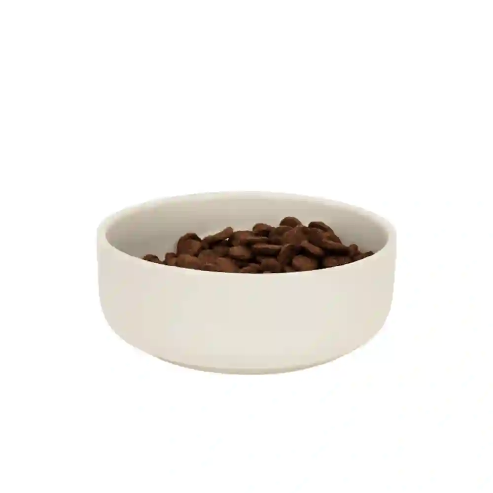 Penrose Cuenco de Gres Crema