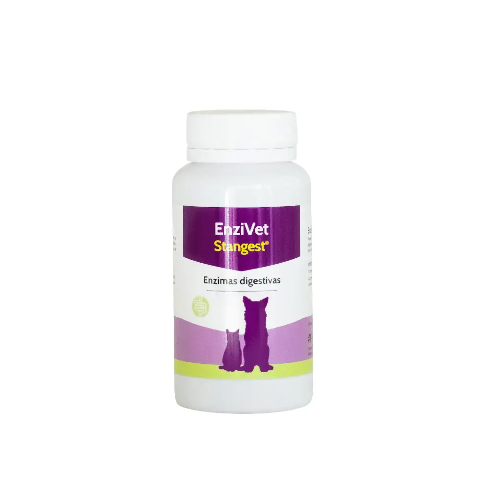 Stangest Enzivet 60 Comprimidos para perros y gatos