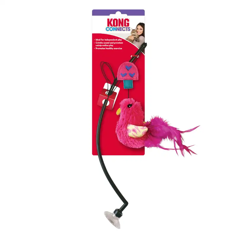 Kong conecta teaser para ventana