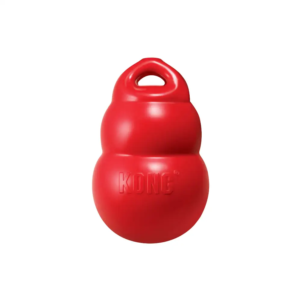 Kong Bounzer