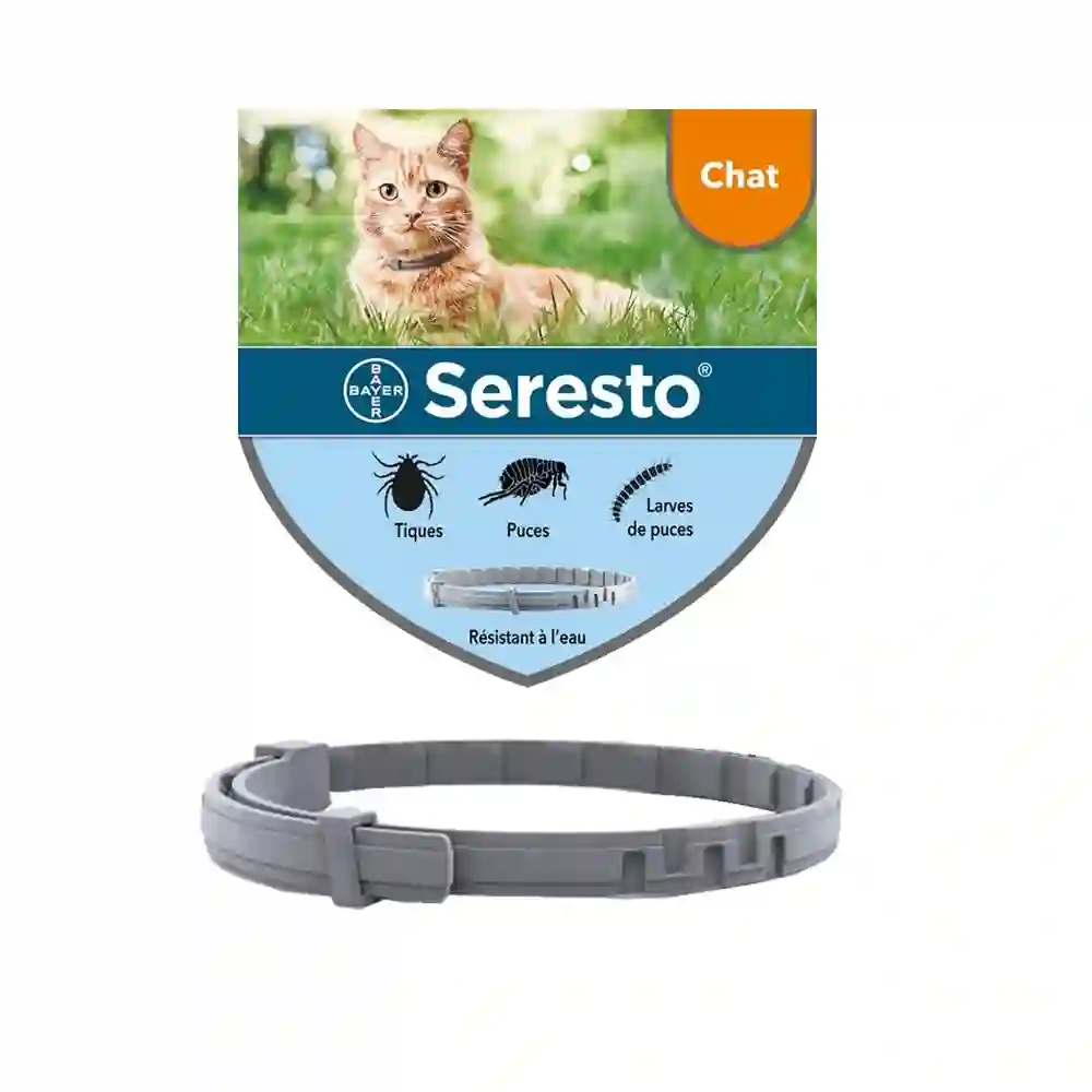 Seresto collar antiparasitario para gatos