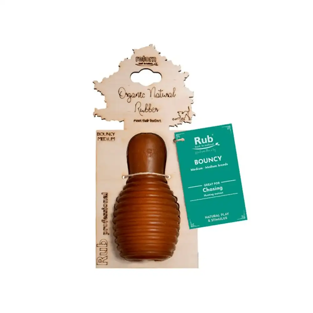Juguete para perros roce medio hinchable