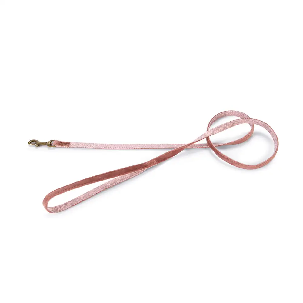 Correa Velura Rosa para Perro