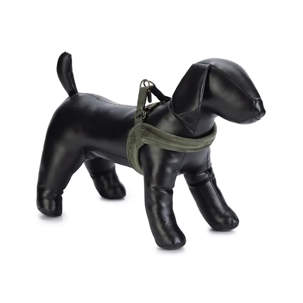 Arnés Velura Verde para Perro
