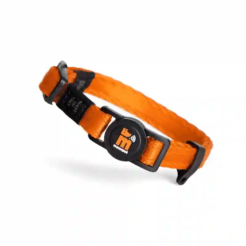 El collar de la memoria de mi familia naranja para gato