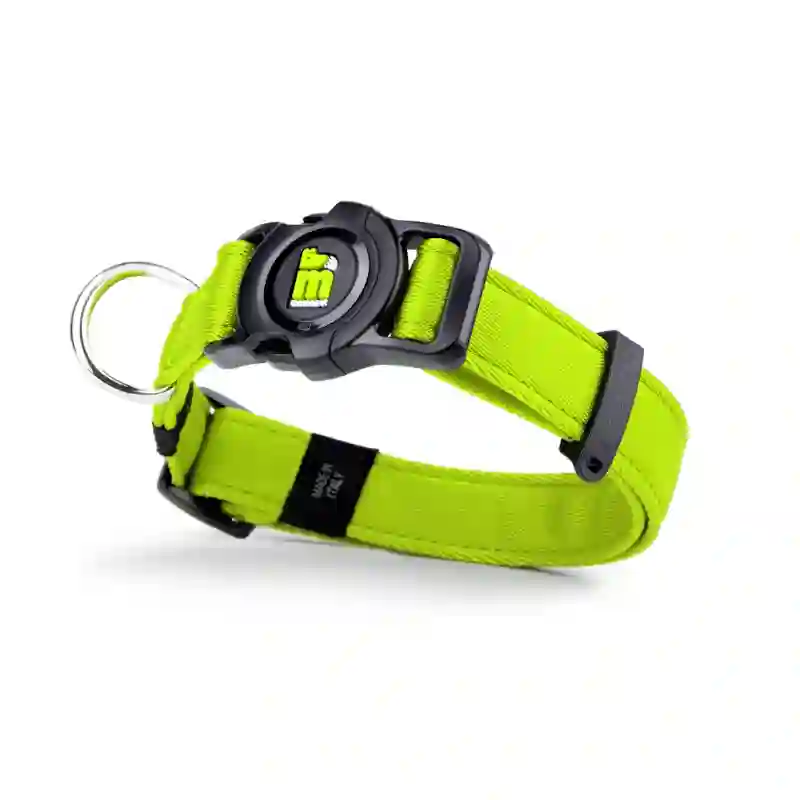 Mi familia Memopet Collar Verde para Perro
