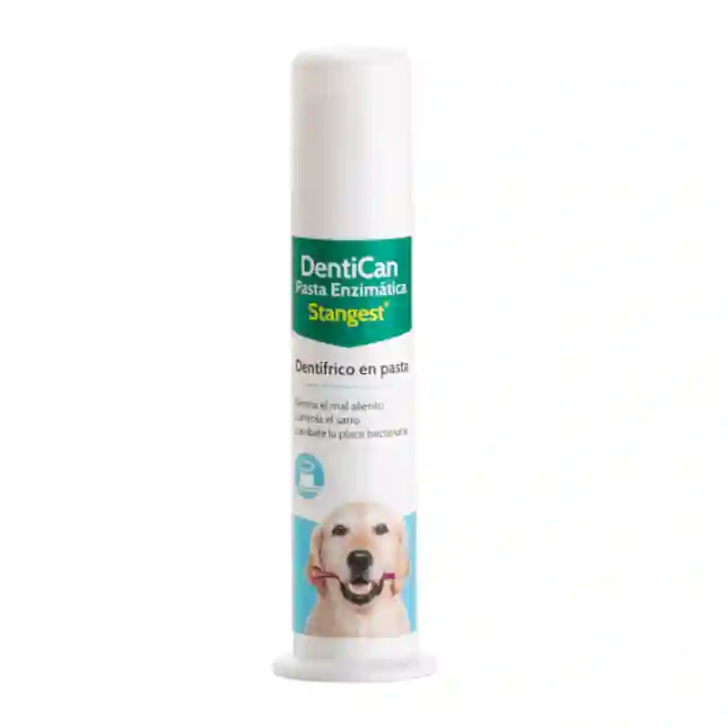 Pasta denticana stangest enzimática 100ml