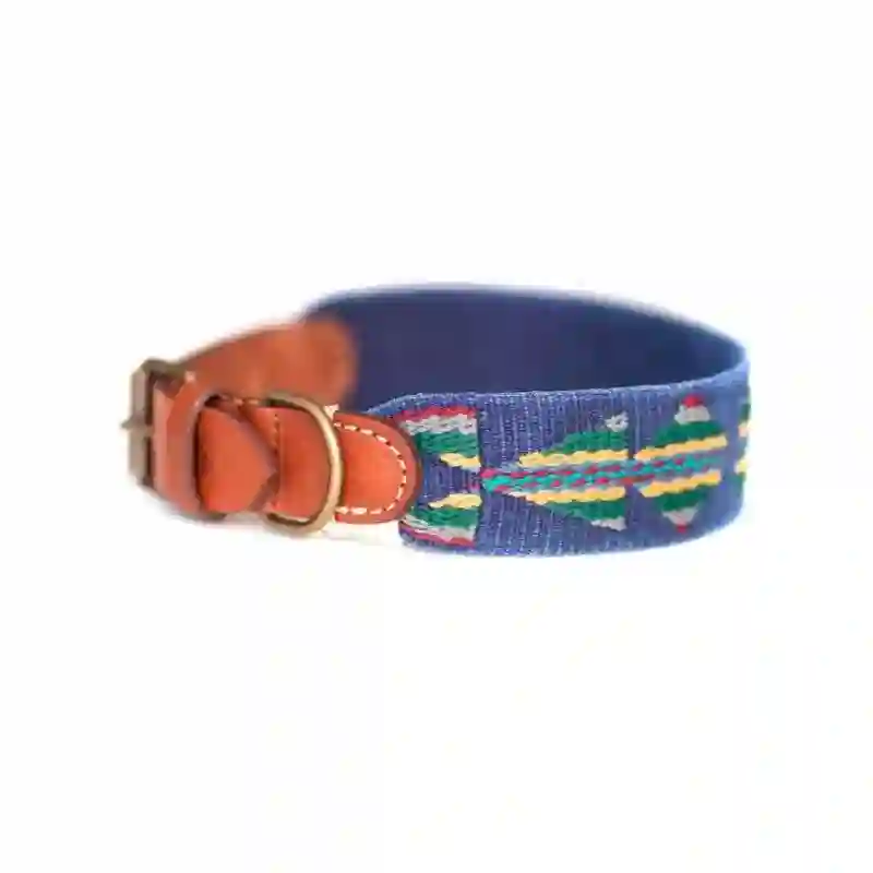 Buddys Collar Etna Azul