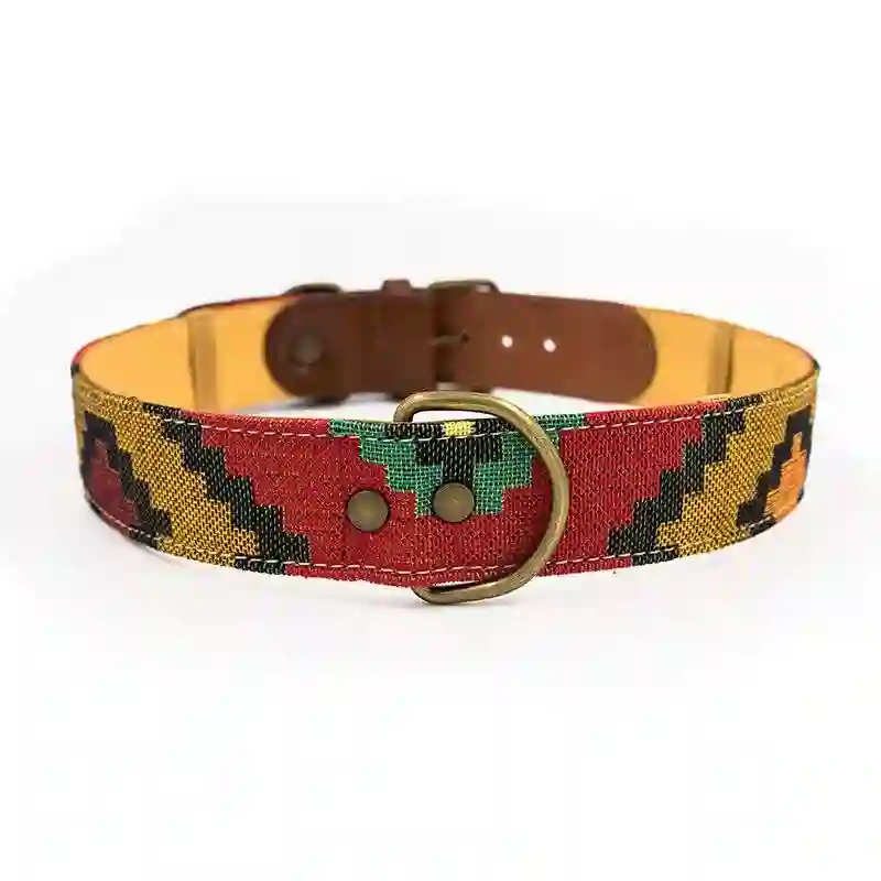 Ladran Gaucho Collar Scooby