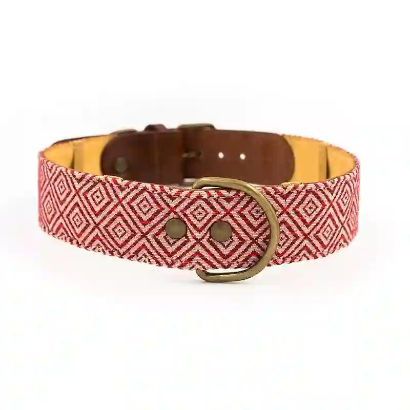Ladran Gaucho Collar Mambo