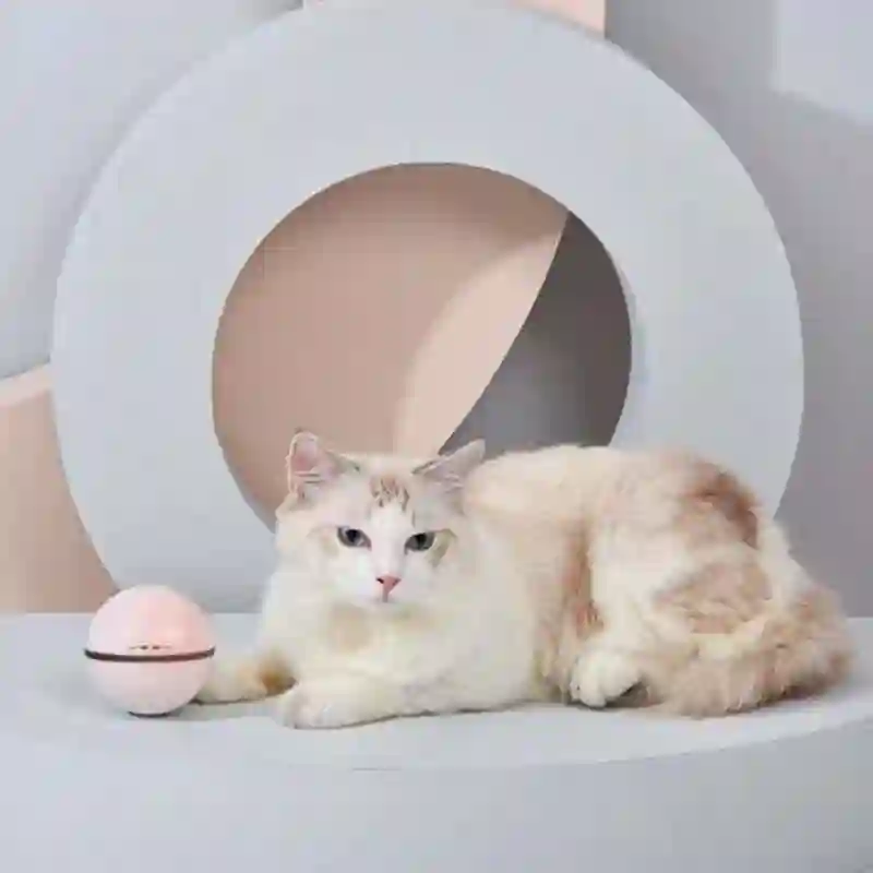 Dogness Pelota Interactiva Cat's Rolling