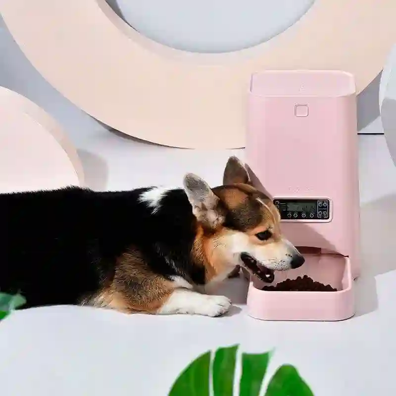 Dogness inteligente comedero programable