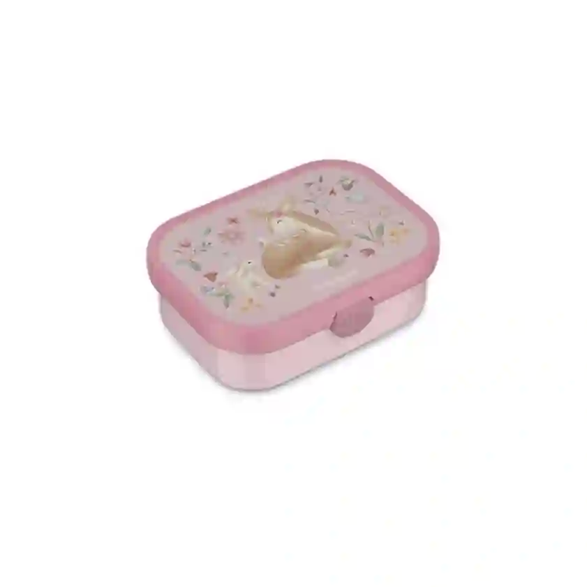 Fairy Garden lunch box