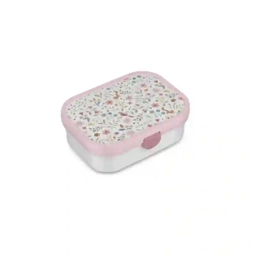 Fairy Wonders Lunch Box