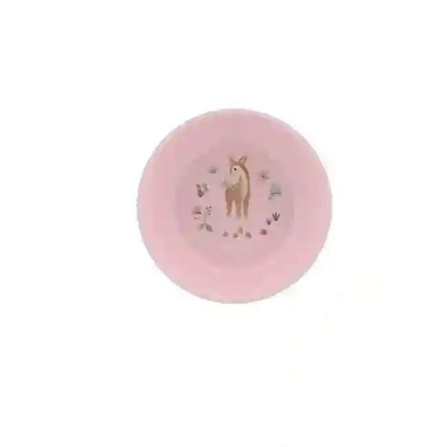 Bowl Fairy Garden