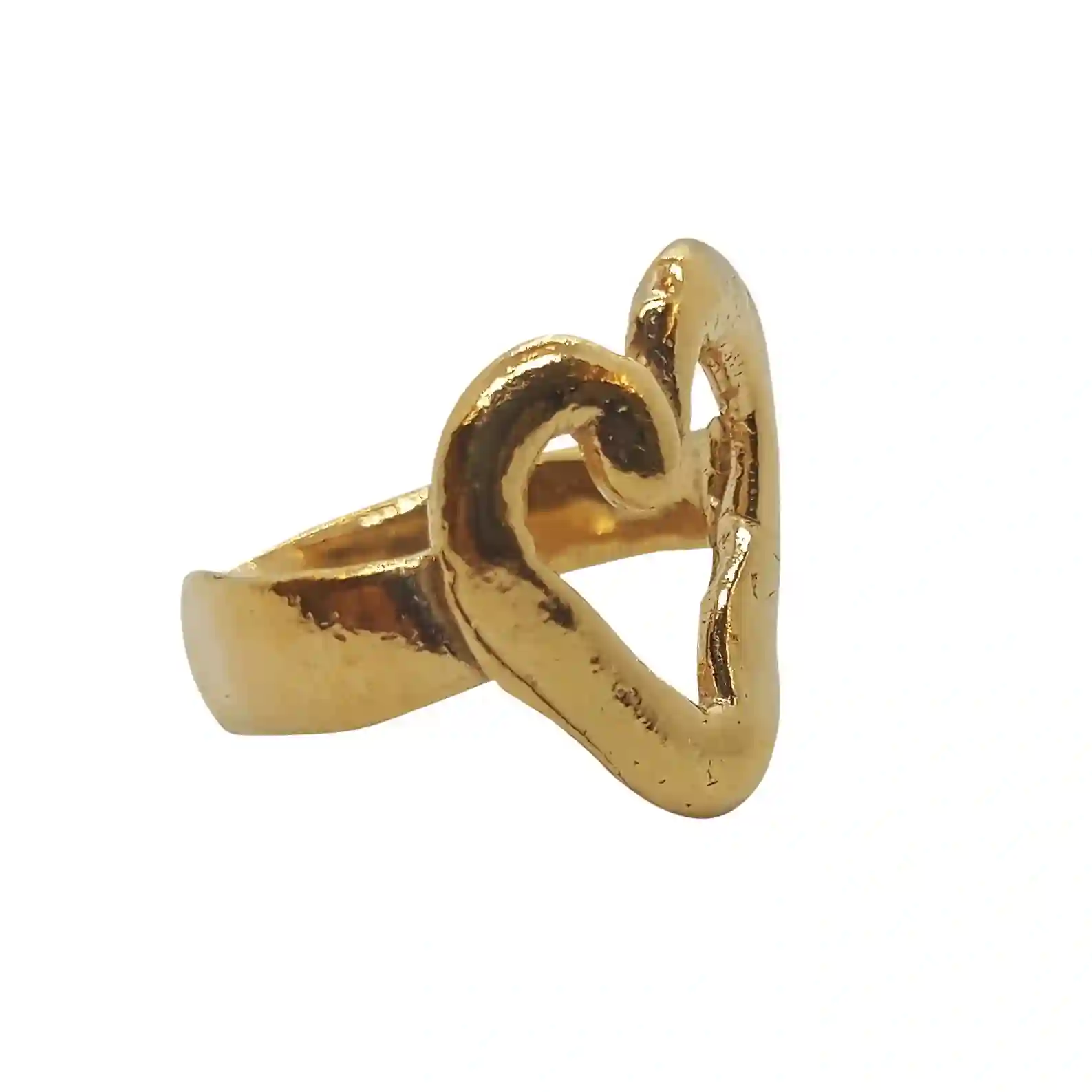 Anillo de vida