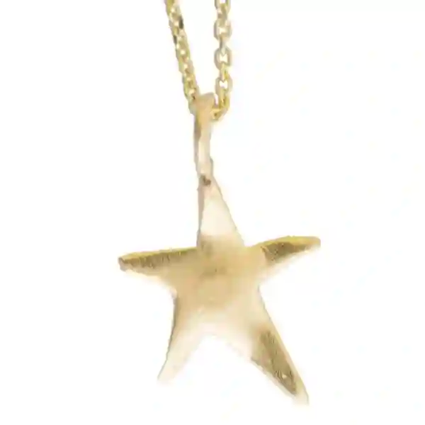 Collar de encanto de estrella ziggy