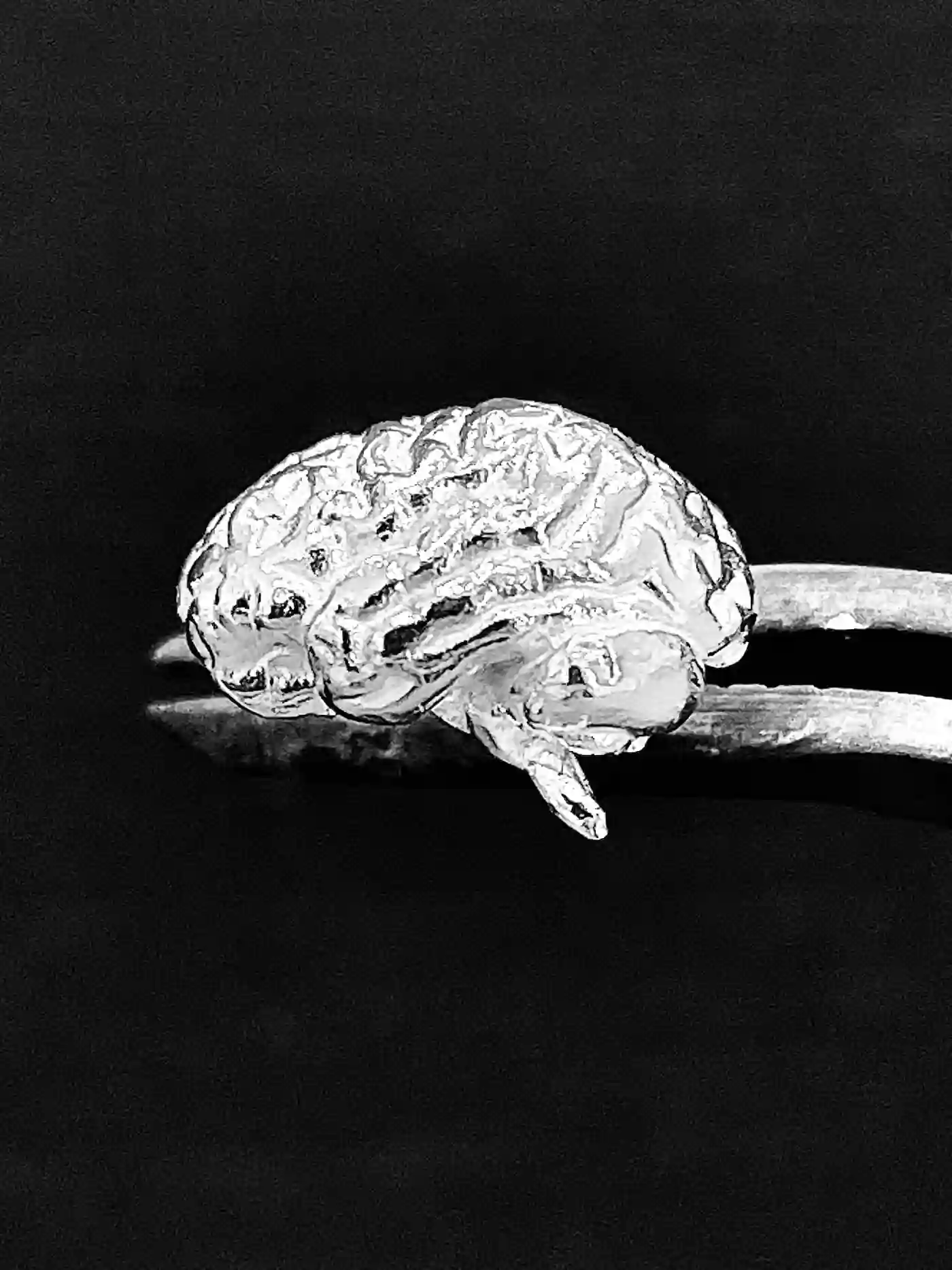 Pendientes cerebro humano