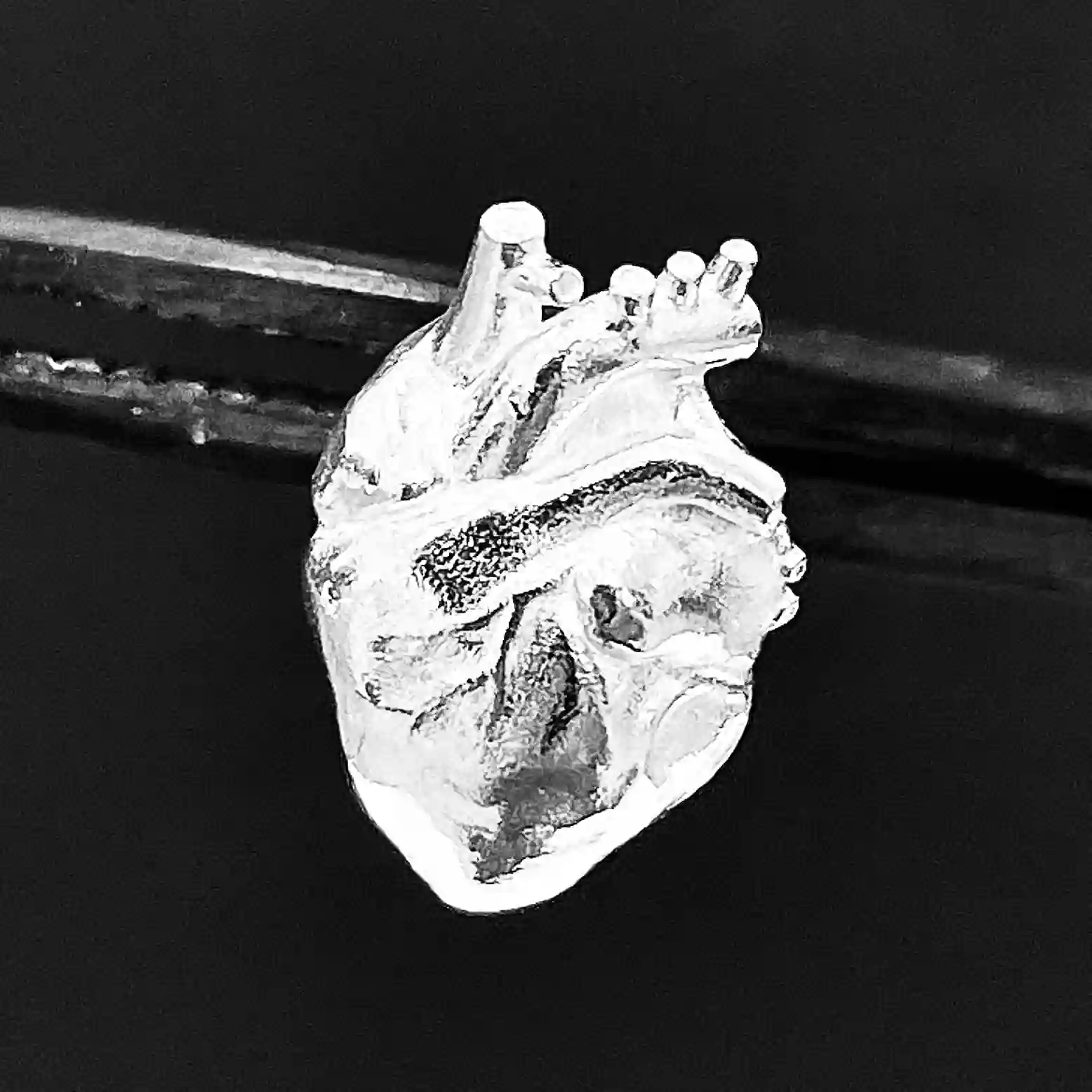 Pendientes corazón humano