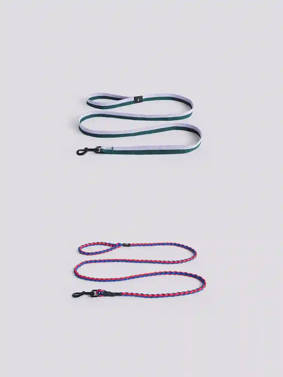 Dog Leash