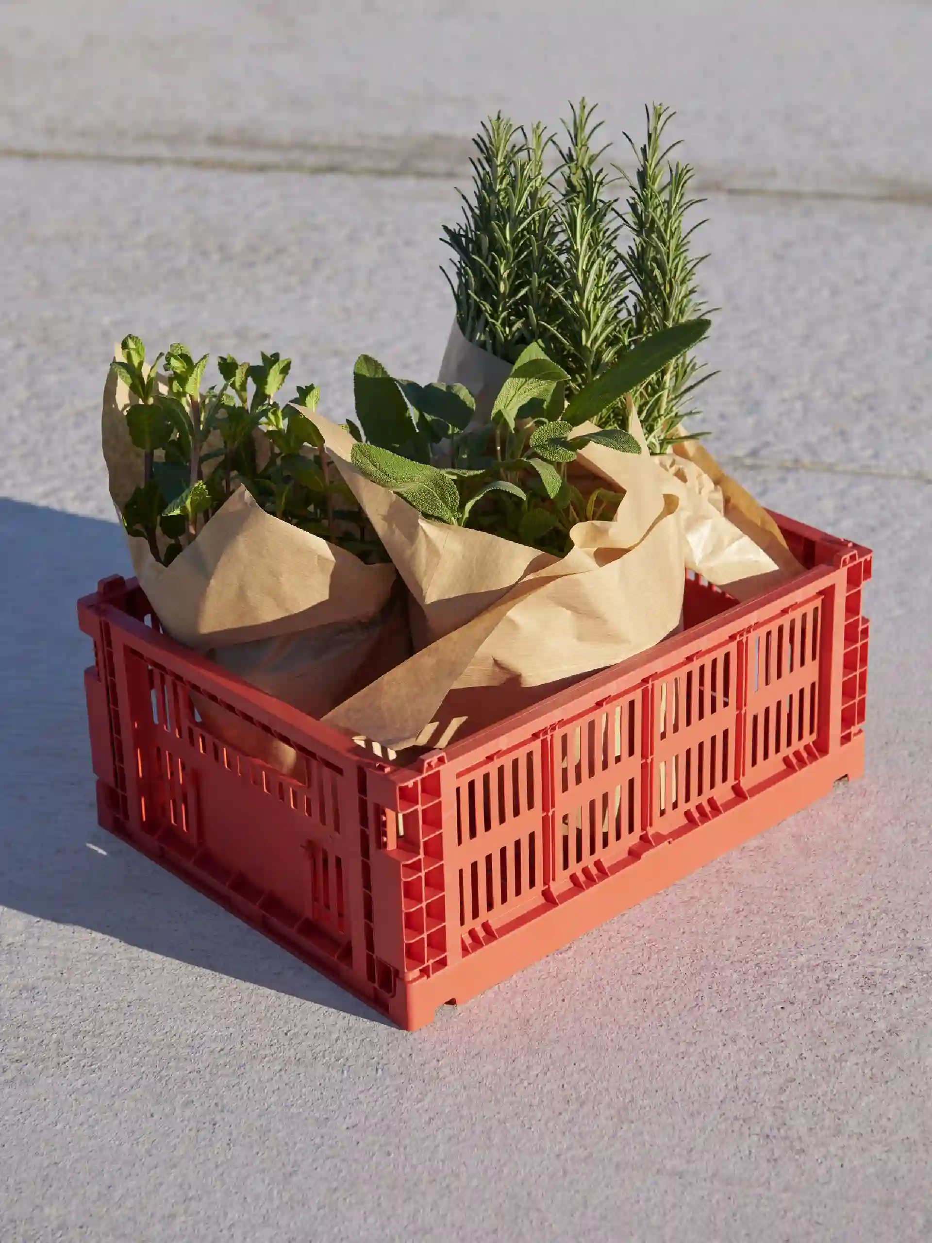 Colour Crate M