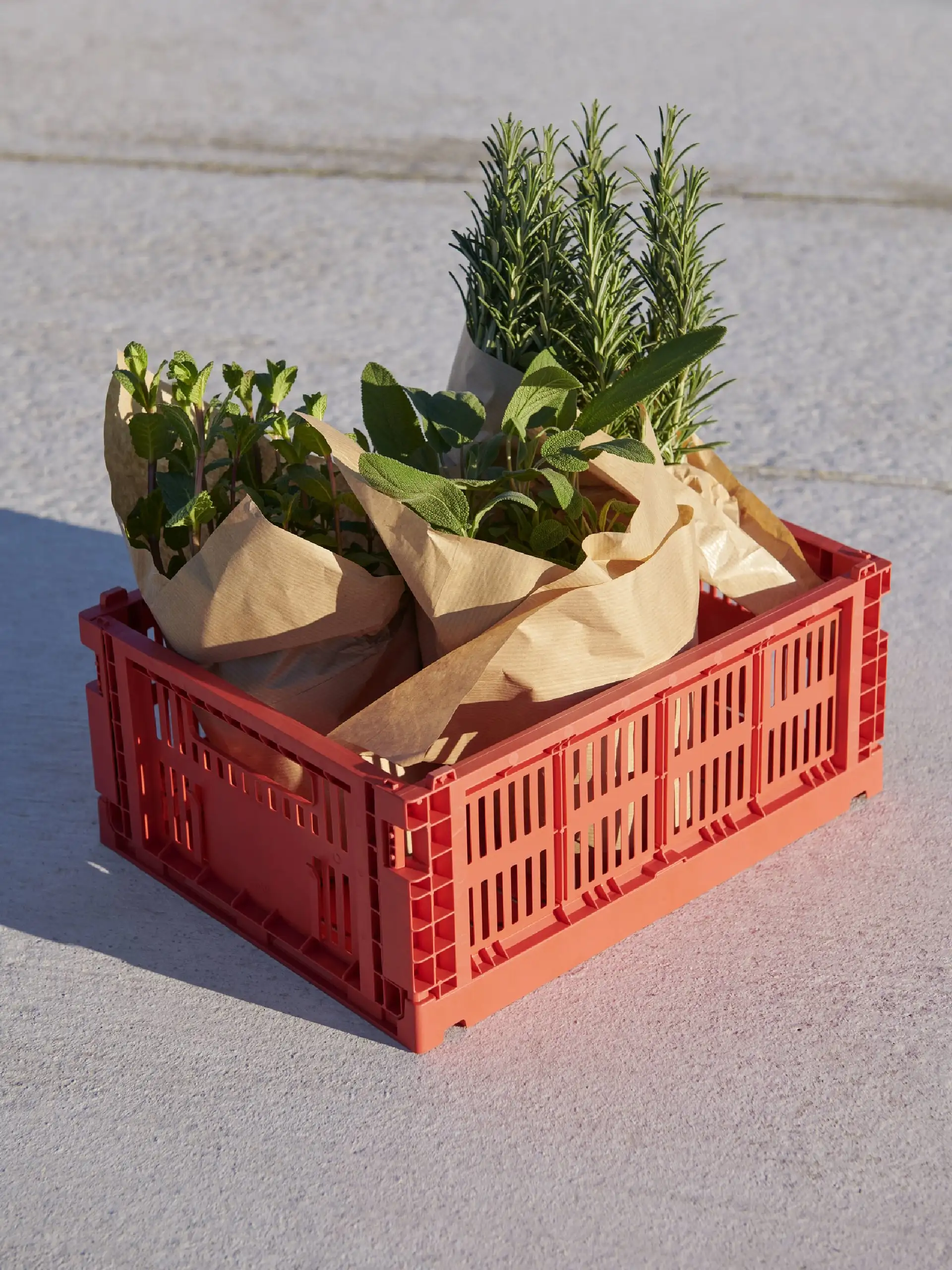 Colour Crate M