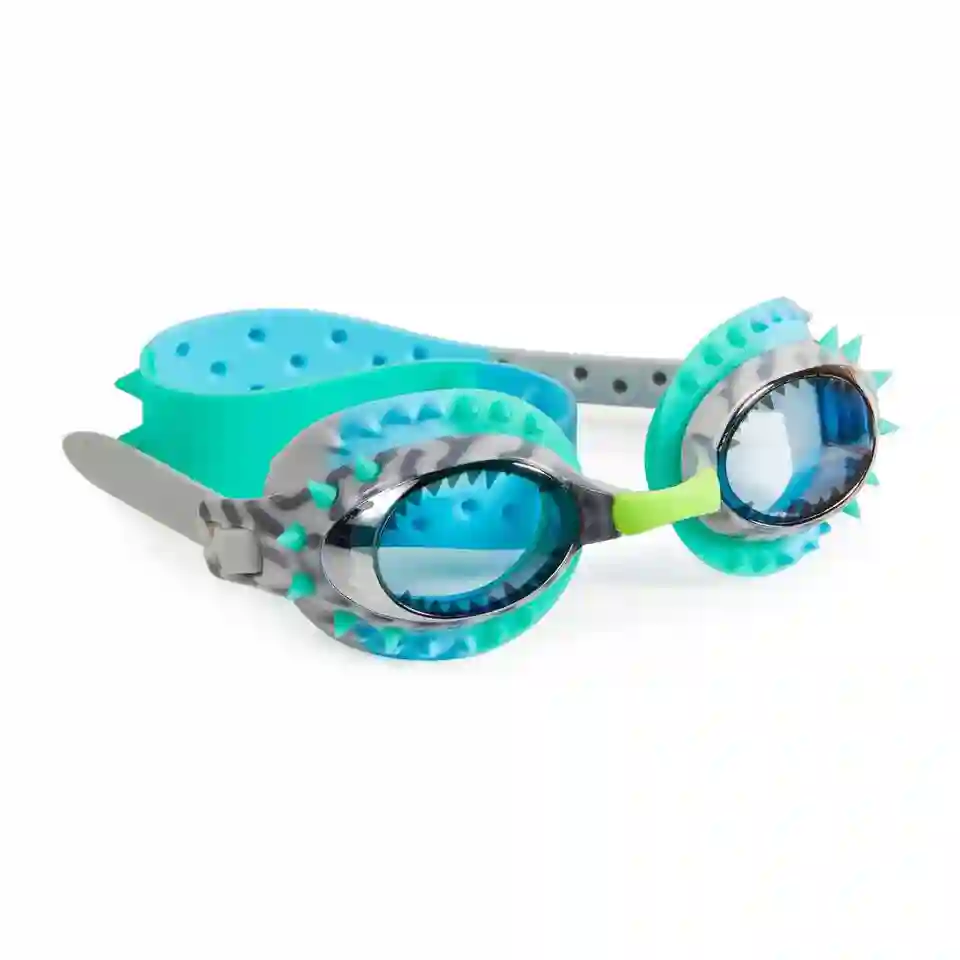 Blue Raptor diving glasses