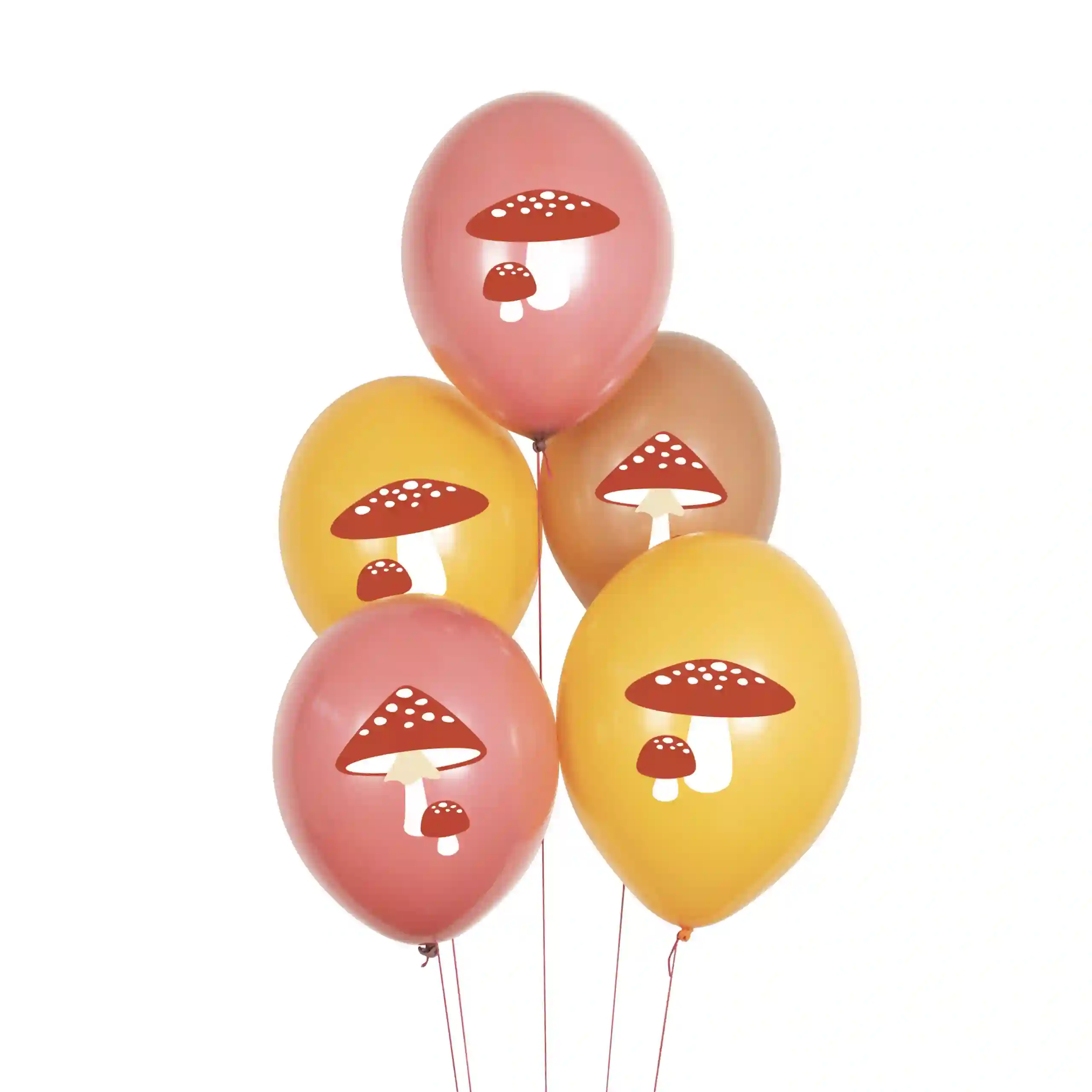 Globos seta con helio - 5ud