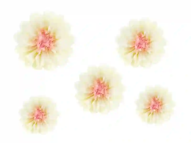 Flores Papel Seda beige -5ud