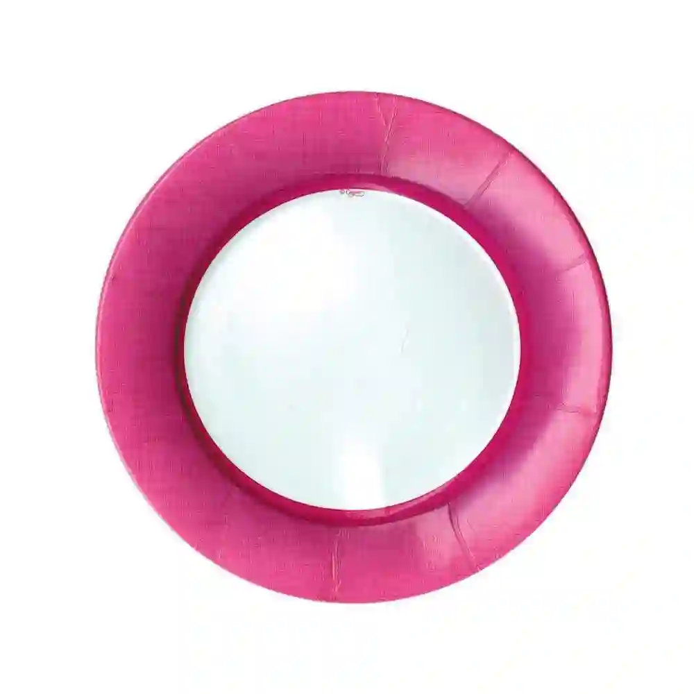 Platos Grandes Borde Fuchsia - 8UD