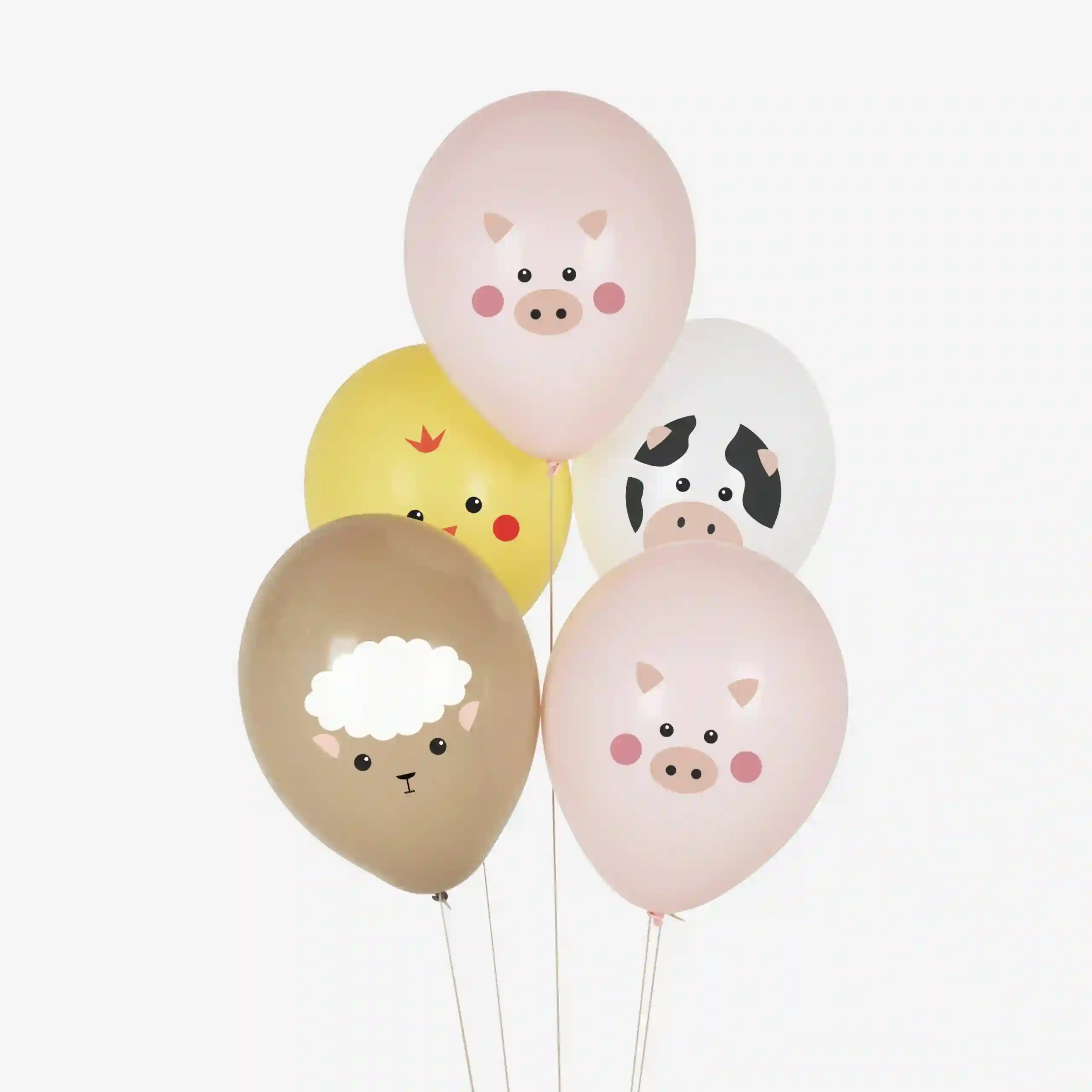 Globos Granja- 5ud