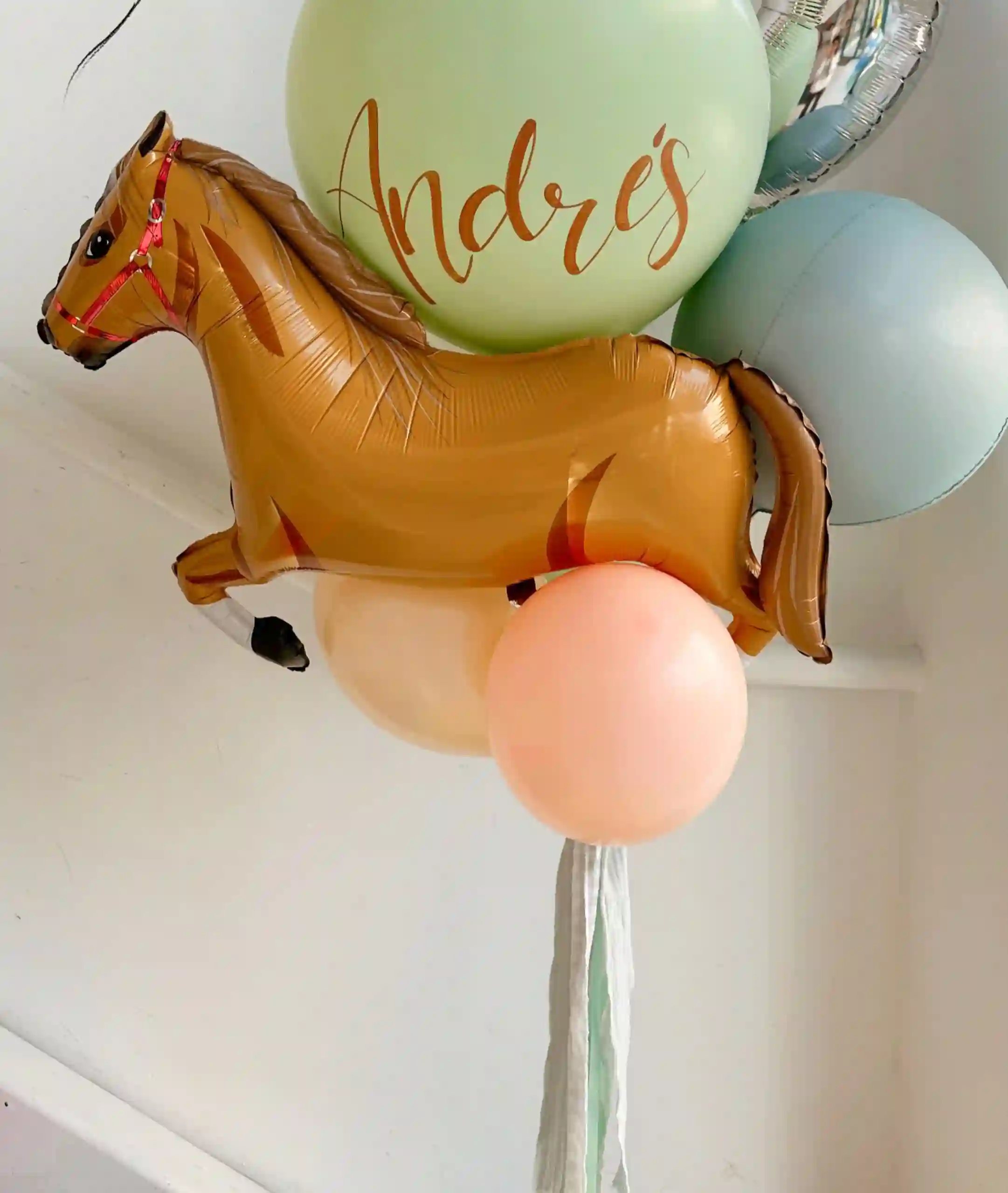 RAMO CABALLO