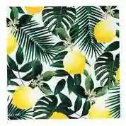 Servilletas Palmeras y Limonas - 20UD
