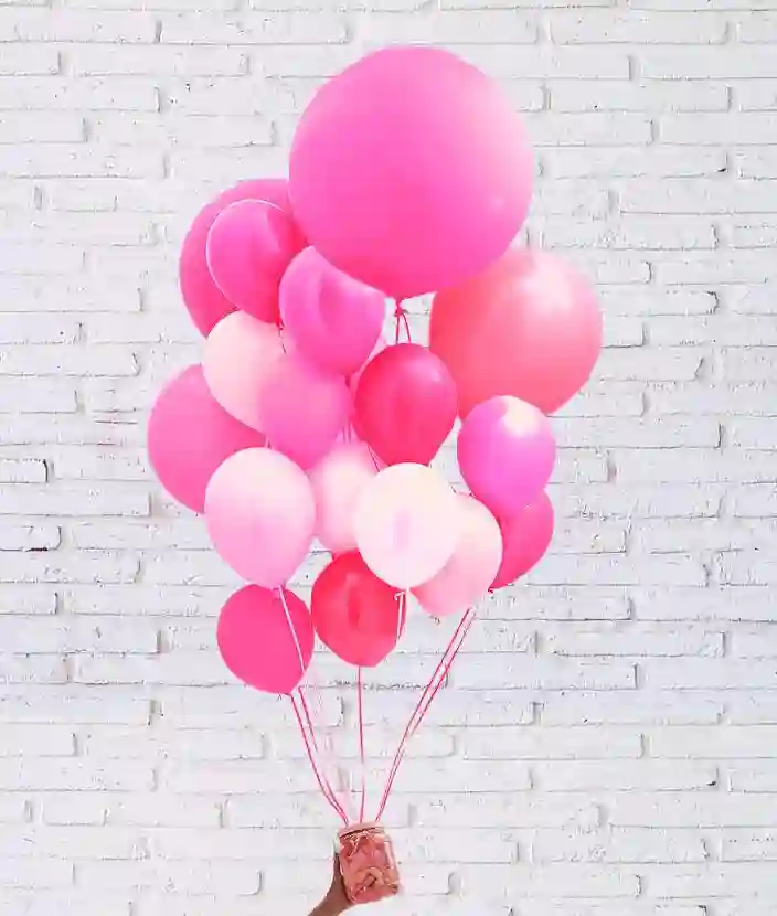 Fiesta rosa