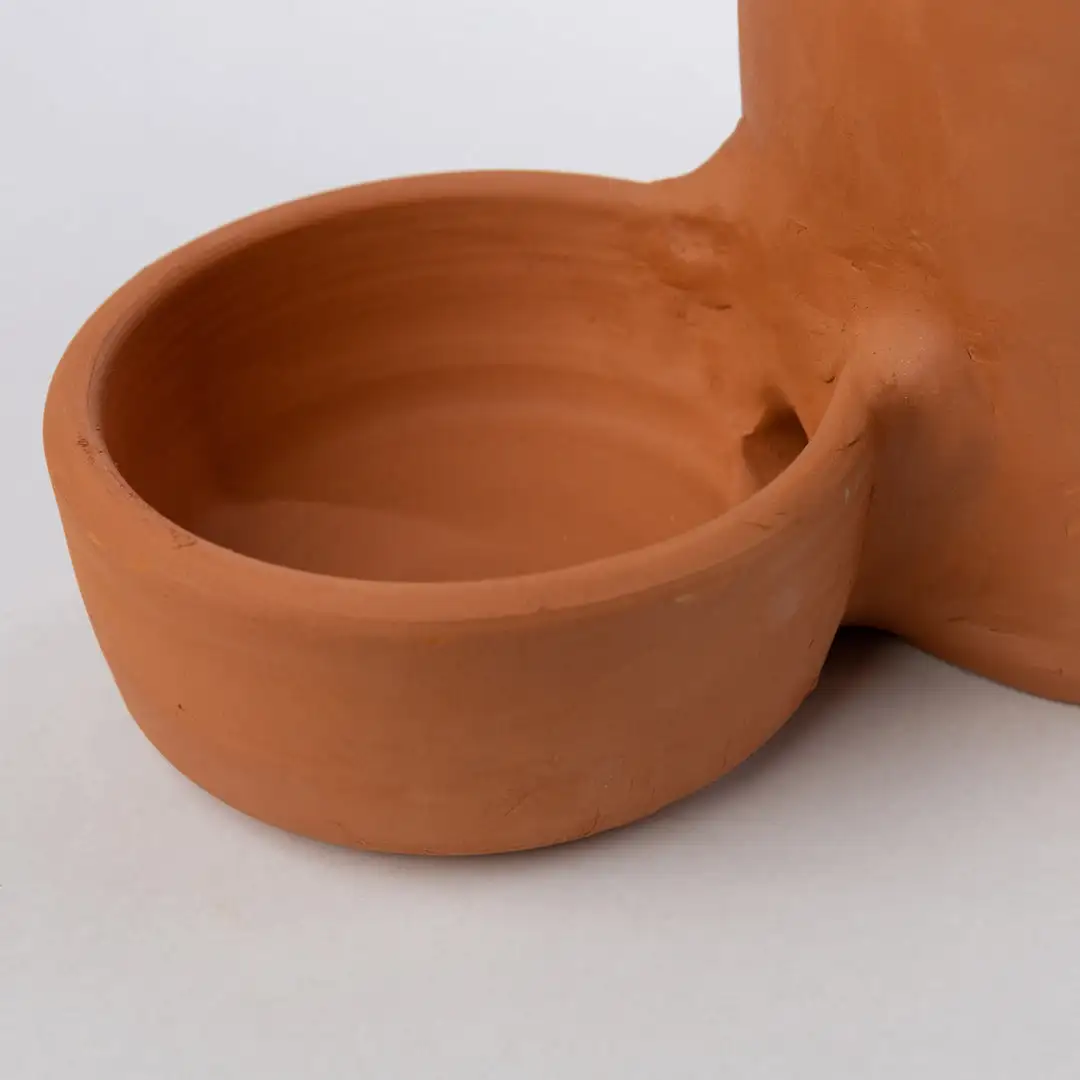 Pets - Image 3