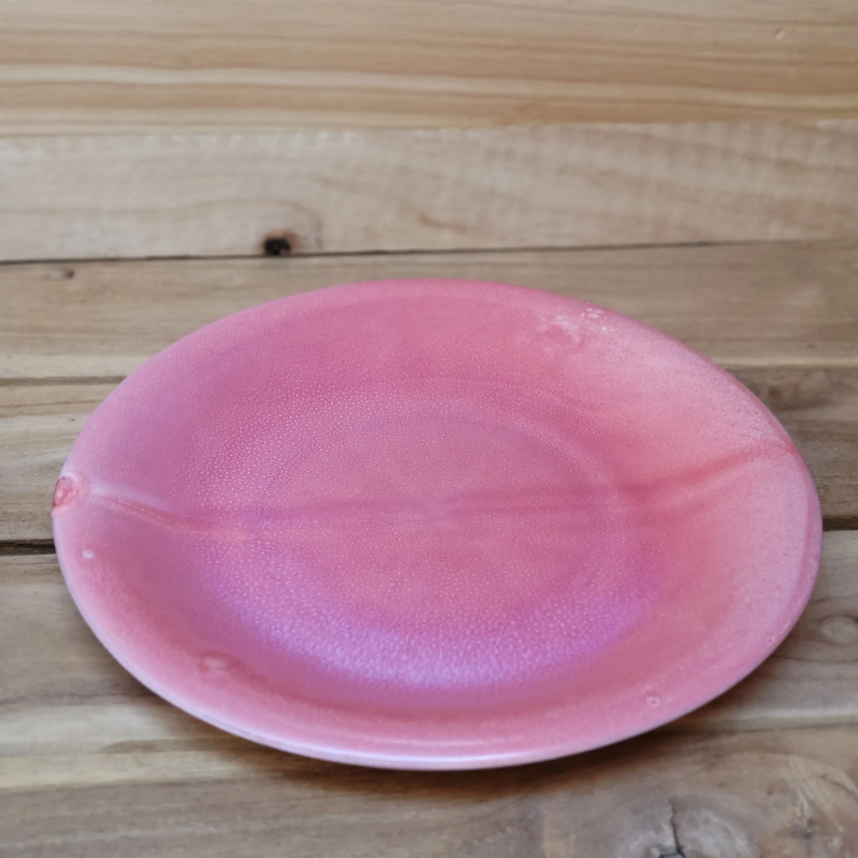 Plato Llano Vera - Imagen 4