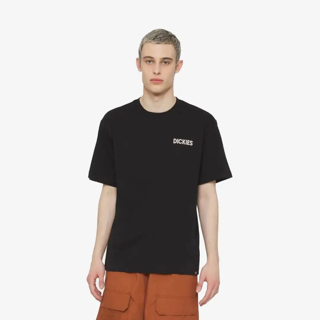 Dickies Beach Tee SS - Imagen 2